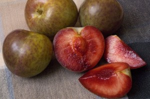 Flavor Supreme Pluot